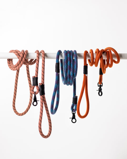 Hundeleine, versch. Farben