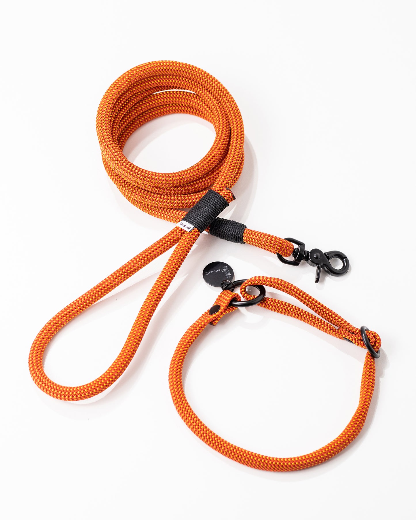 Hundeleine/Halsband, Set