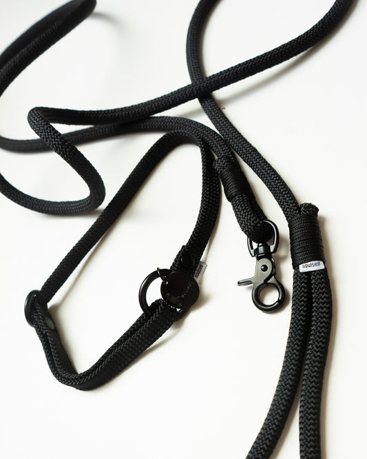 Hundeleine/Halsband, Set