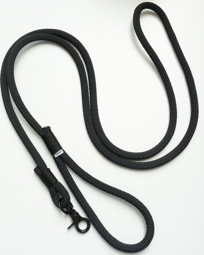 Dog leash, various colors