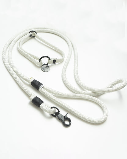 Dog leash/collar set