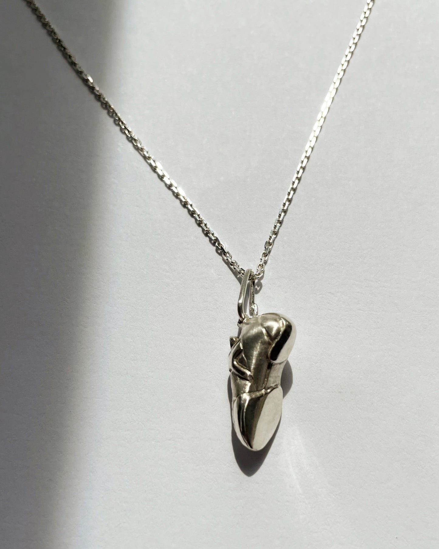 Climbing shoe with/without silver chain