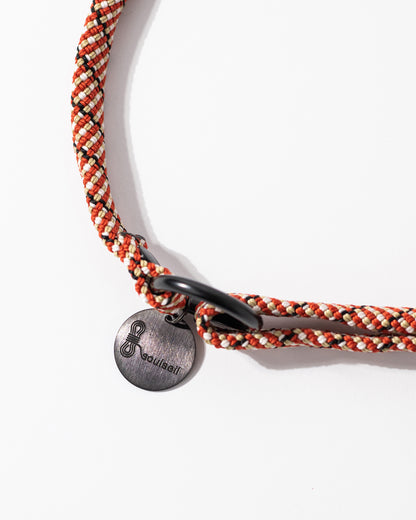 Hundehalsband, versch. Farben