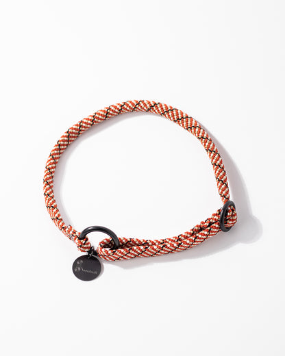 Hundeleine/Halsband, Set