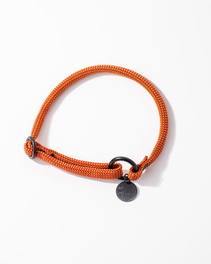 Hundeleine/Halsband, Set