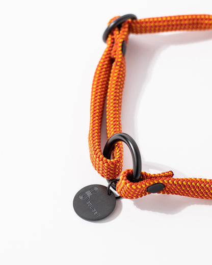 Hundehalsband, versch. Farben