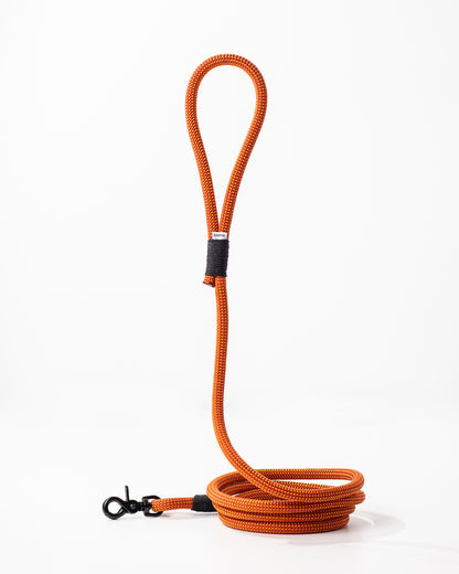 Hundeleine, versch. Farben