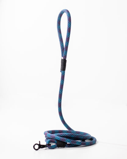 Hundeleine/Halsband, Set