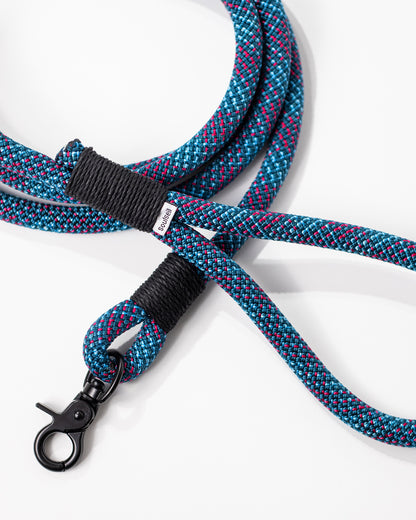 Hundeleine, versch. Farben