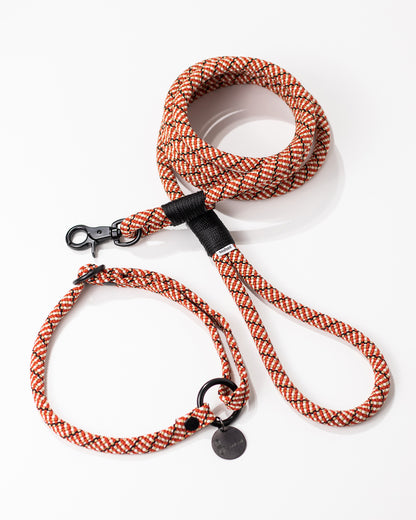 Hundeleine/Halsband, Set