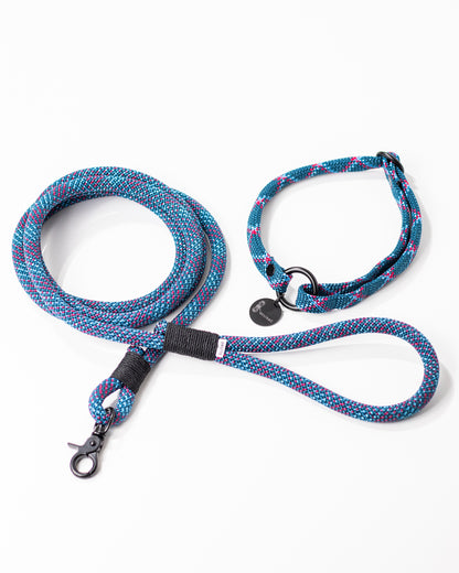 Hundeleine/Halsband, Set