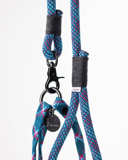 Hundeleine/Halsband, Set