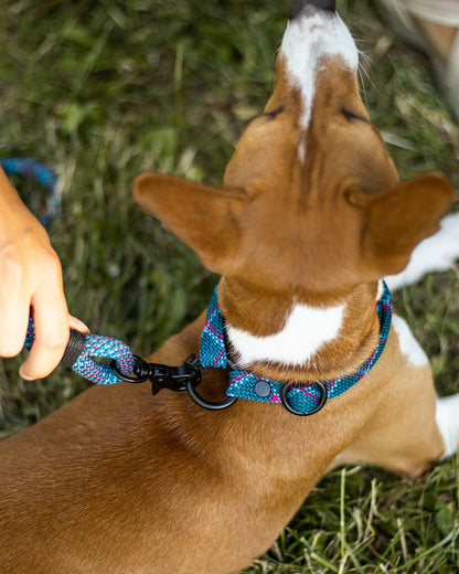 Hundeleine, versch. Farben